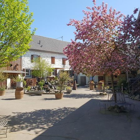 Besondere Ferienwohnung Spirit Auf Idyllischem Reiterhof Nahe Burg Eltz Münstermaifeld エクステリア 写真