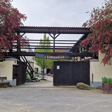 Besondere Ferienwohnung Spirit Auf Idyllischem Reiterhof Nahe Burg Eltz Münstermaifeld エクステリア 写真
