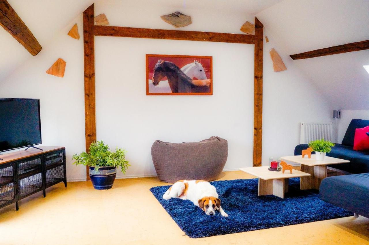 Besondere Ferienwohnung Spirit Auf Idyllischem Reiterhof Nahe Burg Eltz Münstermaifeld エクステリア 写真