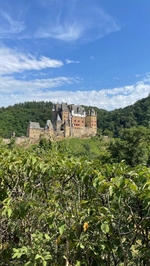 Besondere Ferienwohnung Spirit Auf Idyllischem Reiterhof Nahe Burg Eltz Münstermaifeld エクステリア 写真